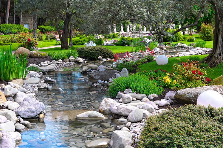 Spiridon's Garden